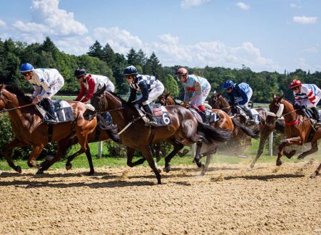 Journée du Cheval_2