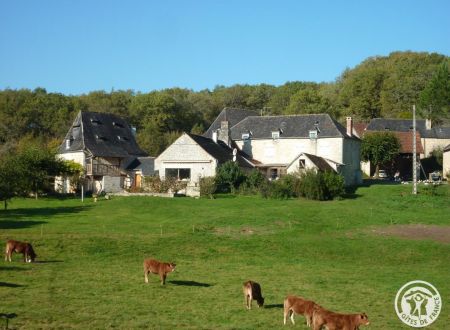 A l'Orée des Bois_4