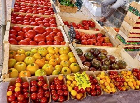 Ferme-de-Brossard_Lanteuil_tomatesMarche_4