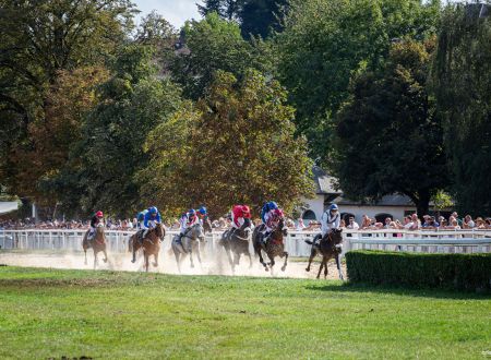 Courses hippiques - Pompadour ©Cris Bastiane - Web (20)