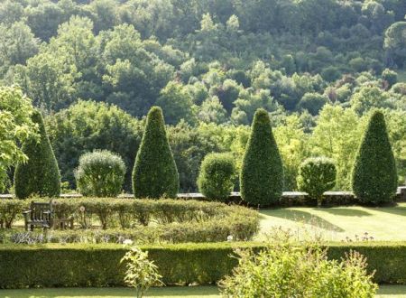 LES OISEAUX DU JARDIN