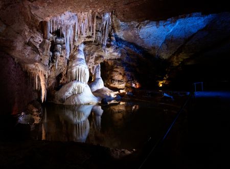 Salle de la Tarasque_2