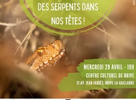 des serpetns dans nos tetes