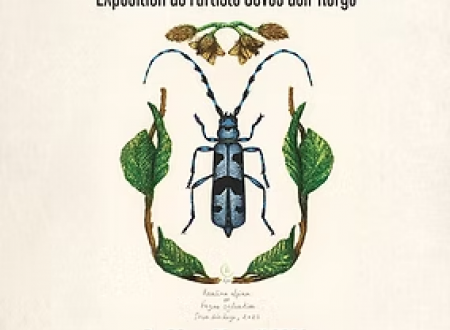 histoires entomologiques