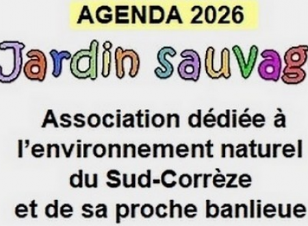 jardin sauvage