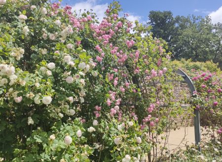 Jardins Sothys_1