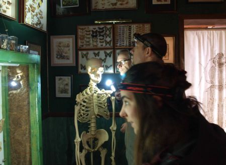 la nuit des musées cité cité des insectes3