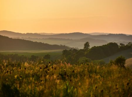landscape-8068792_1280