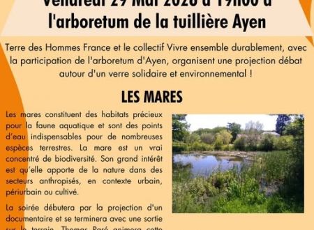 visite de mare 29 mai 2026 (002)