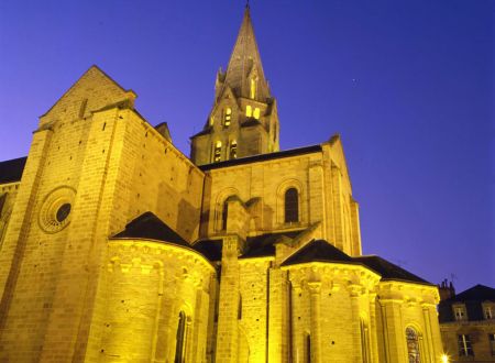 Collégiale Saint Martin_1