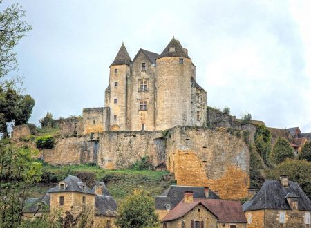 Chateau de Salignac (1)