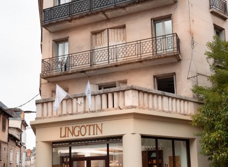 LINGOTIN-2456