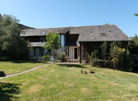 Les hirondelles