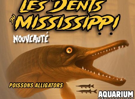 1. Nouveaut‚ 2026 Les Dents du Mississippi