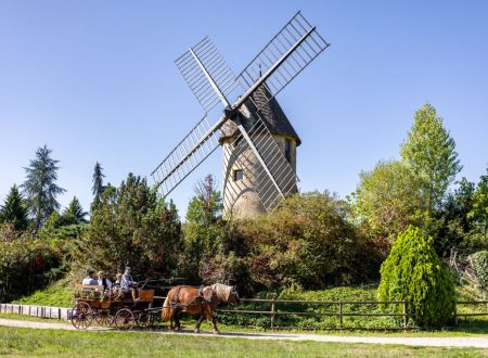 Le Moulin et la calèche