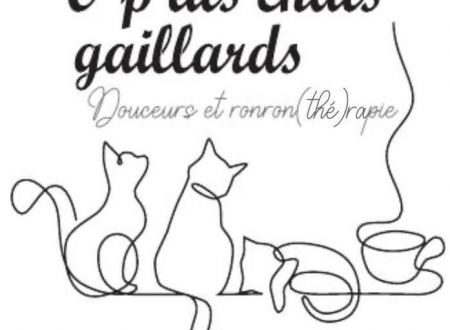 logo Op'tit chat gaillard