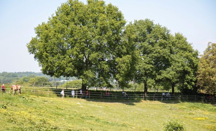 Promenade gourmande 2015_6 (c) Hostieux Moines VLV