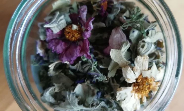 Capucine à table - fleurs séchées