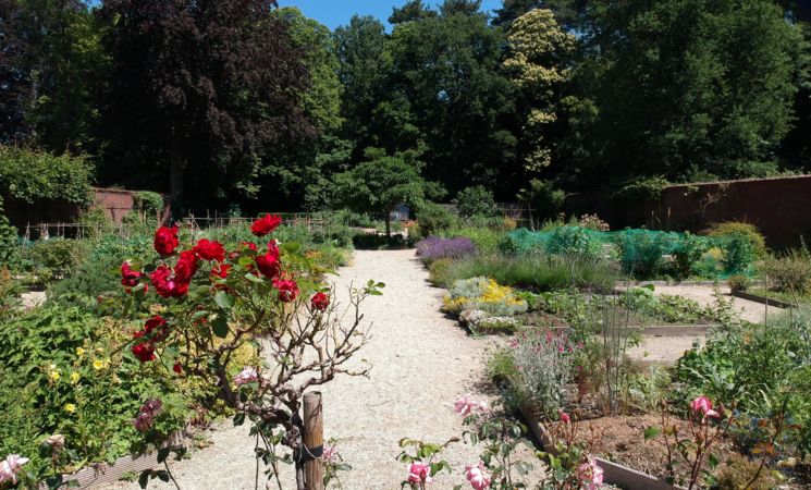 Parc du Château Cheneau : Le Jardin du docteur Arouete 2