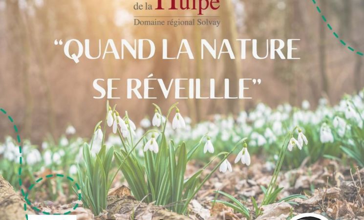Le Réveil de la Nature au Domaine Solvay