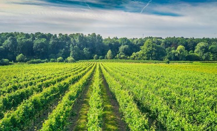 Domaine du chapitre
