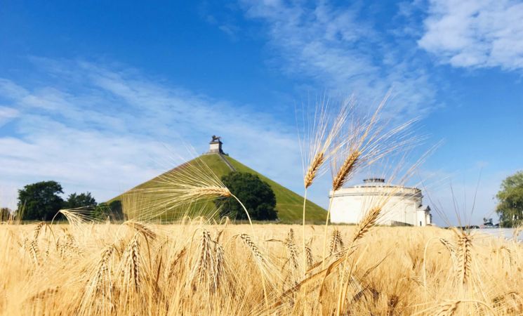 Domaine-bataille-1815