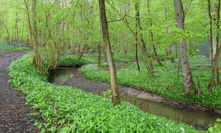 Rando découverte à Monstreux