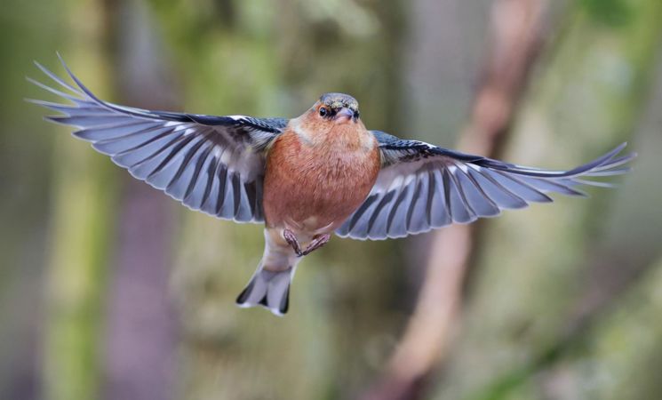 Expo Photos de Gengoux VERJUS