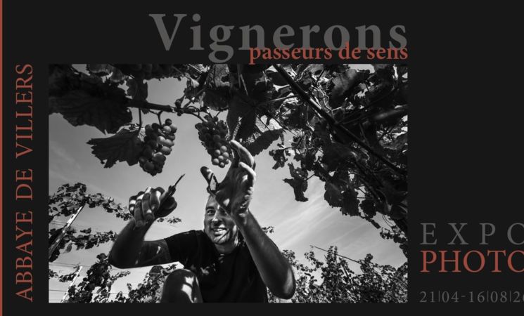 Vignerons passeurs de sens