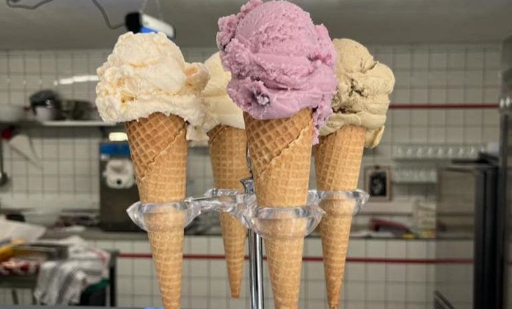 Les Glaces de Madame Clown 2