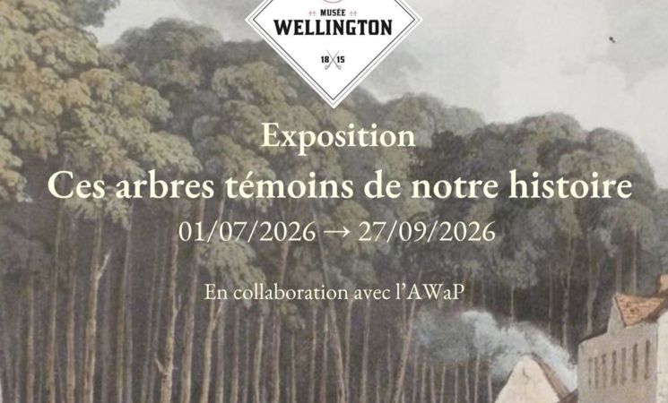 Exposition - Ces arbres témoins de notre histoire