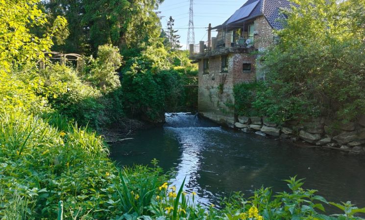 Visite guidée des jardins du moulin ripain