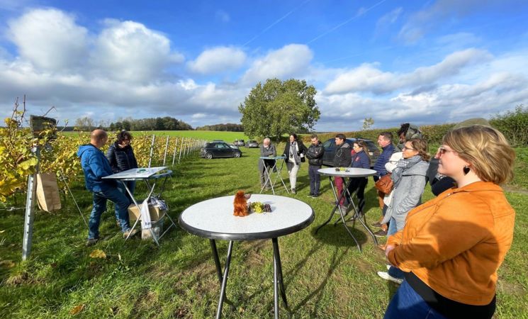 Domaine de Glabais