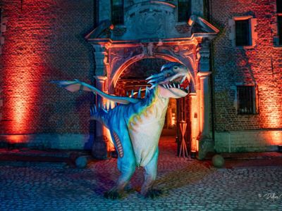 Show - Night of the Dragons at the Château of Rixensart