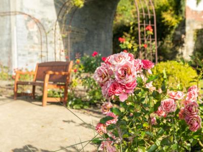 Atelier et visite guidée - Secrets des roses à l'Abbaye de Villers