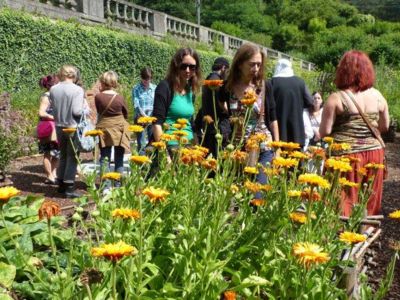 Visite Guidée - Savoirs et remèdes d'autrefois à l'Abbaye de Villers