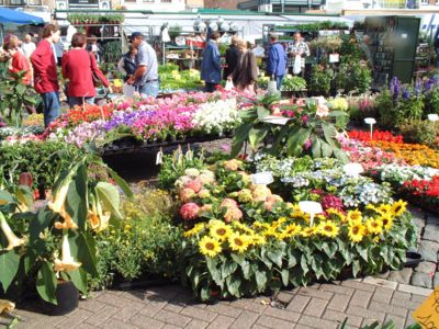 Festival Fleurs et Jardins