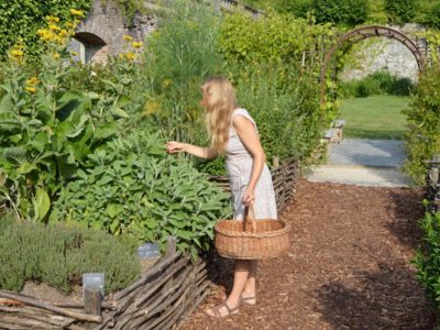 Workshop - Plants and health at Villers Abbey