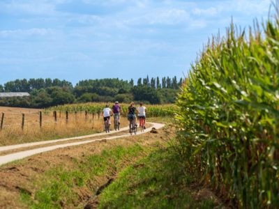 Week-end organisé à vélo - Le Vinotrip du Brabant wallon