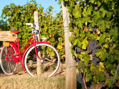 Week-end organisé à vélo - Le vinotrip du Brabant wallon