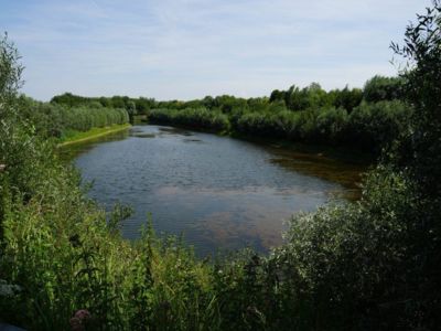 Visite guidée de la réserve naturelle du Tadorne
