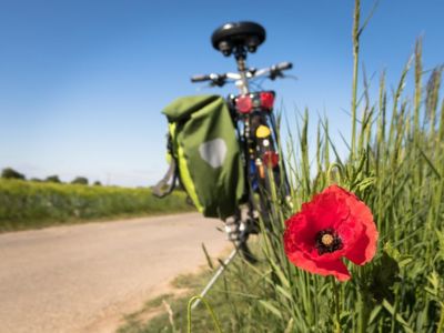 Visite guidée nature - Balade à vélo à Louvain-la-Neuve