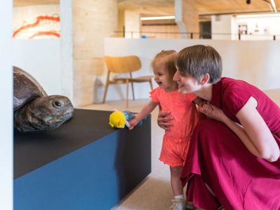 Atelier famille : Créatures et bizzareries au Musée L