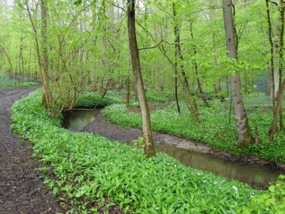 Rando découverte à Monstreux