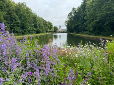 Balade contée : Des histoires en tous genres