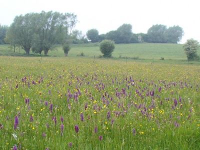 Balade à la découverte de la réserve d'Housta