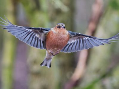 Photo Exhibition of Gengoux VERJUS