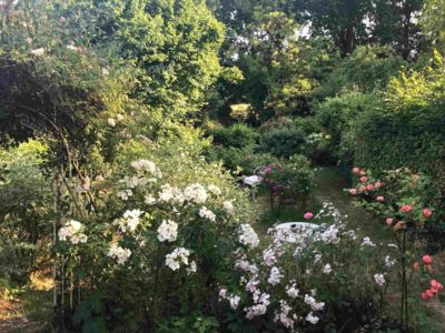 Artists' trail and open gardens