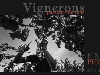 Photo exhibition of winemakers, conveyors of meaning