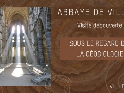 Visite découverte - Sous le regard de la géobiologie à l'Abbaye de Villers